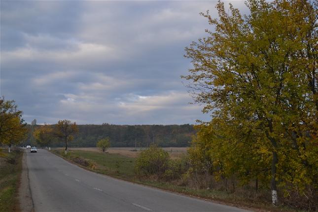 Codrii Hertei/DSC_0008.jpg